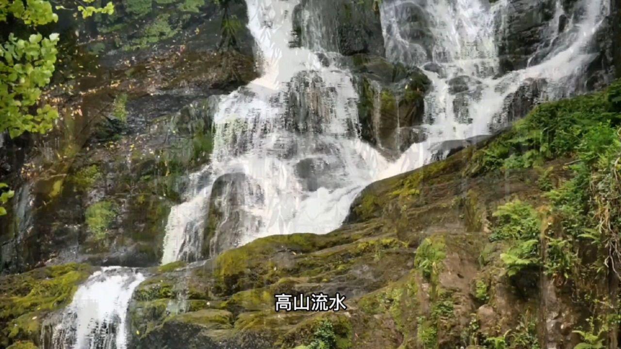 拖延症怎么治疗-探讨与分享的红迪网平台